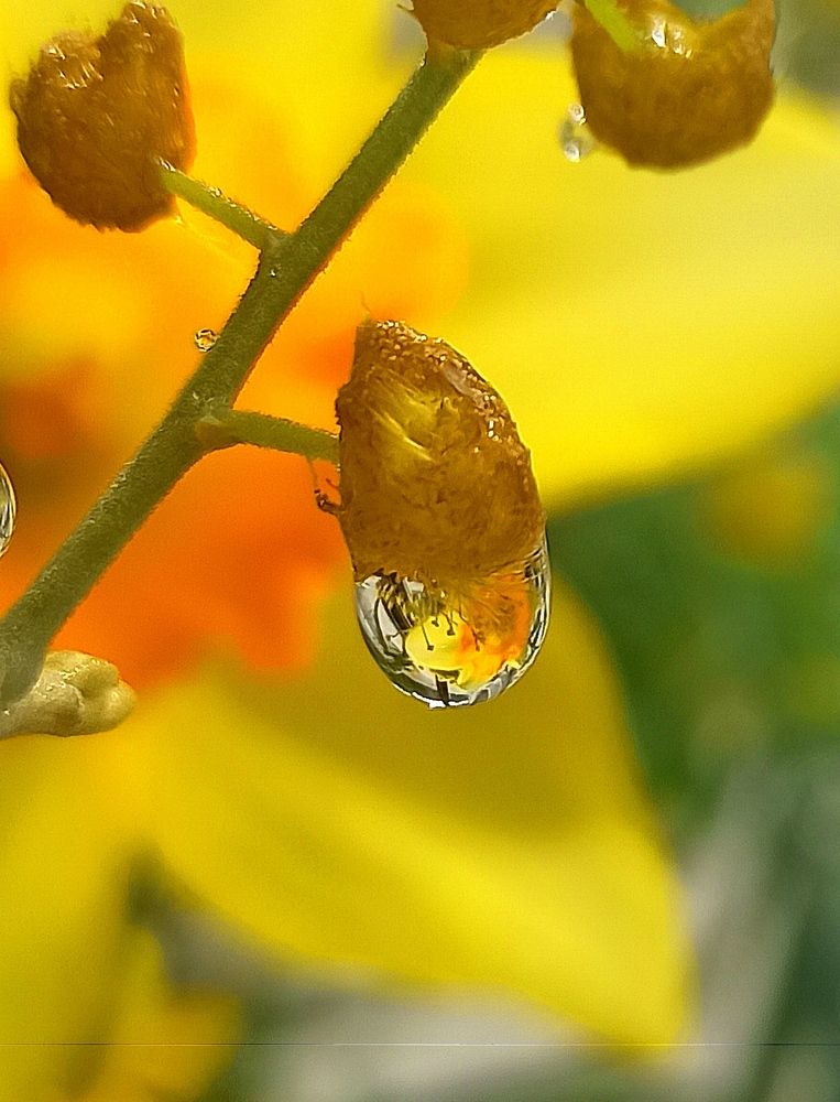 Photograph by Ольга Тихонова