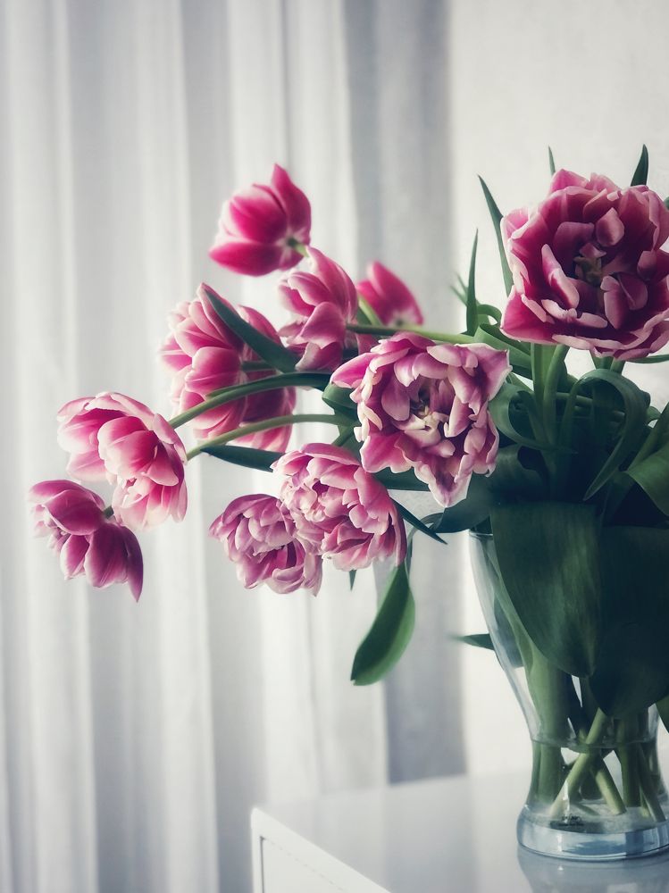 Photograph by Светлана Долганова