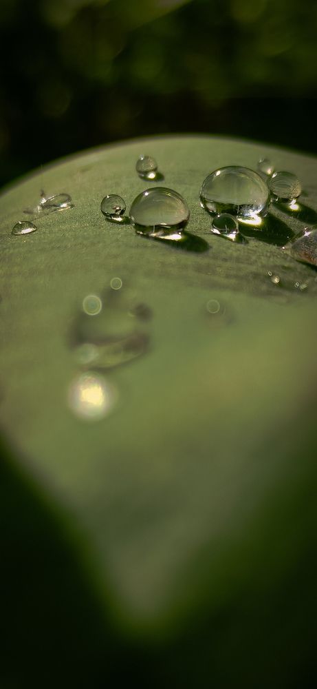 Photograph by Кристина Полякова