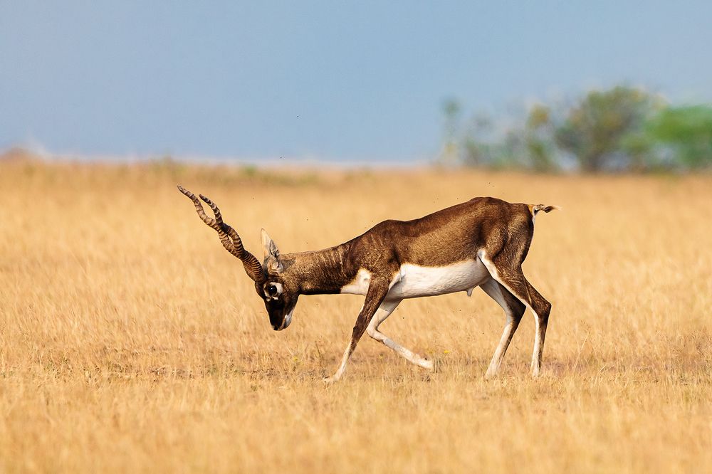 Photograph by Nikhil Parnandi