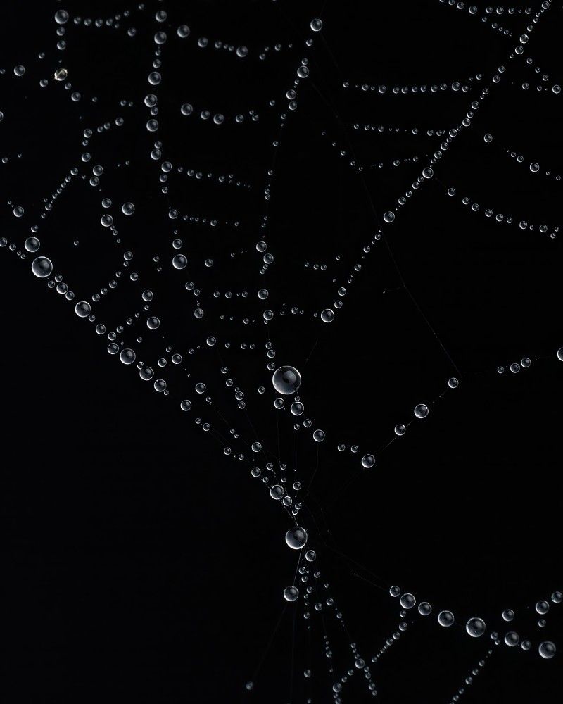 Photograph by Hardeep Solanki