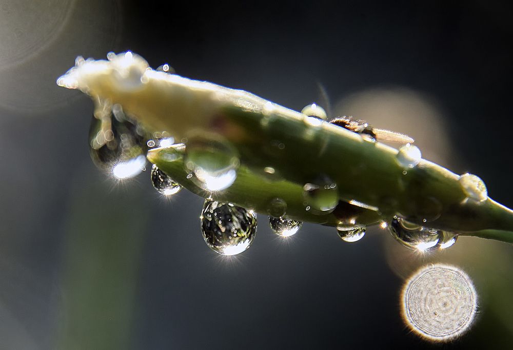 Фотография автора Александр