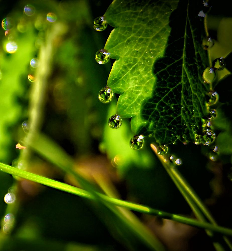 Фотография автора Milena Ivanova