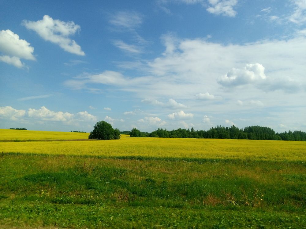 Photograph by Елена Кузина