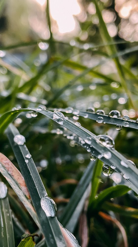 Фотография автора Ольга Каминская