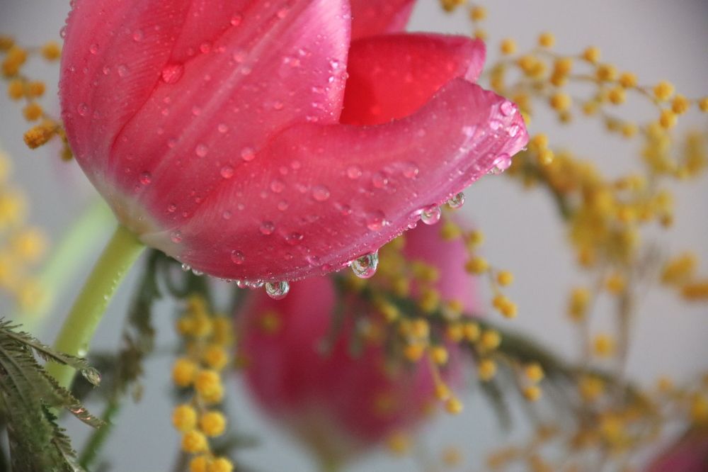 Photograph by Аня Косс