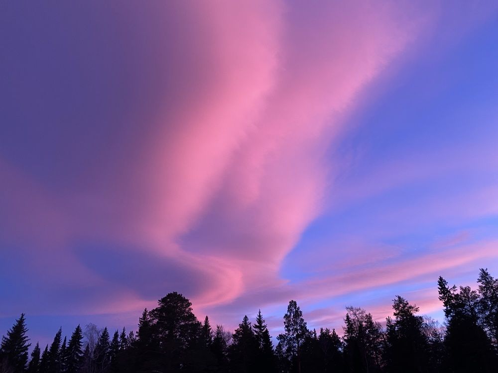 Photograph by Анастасия Чушкова