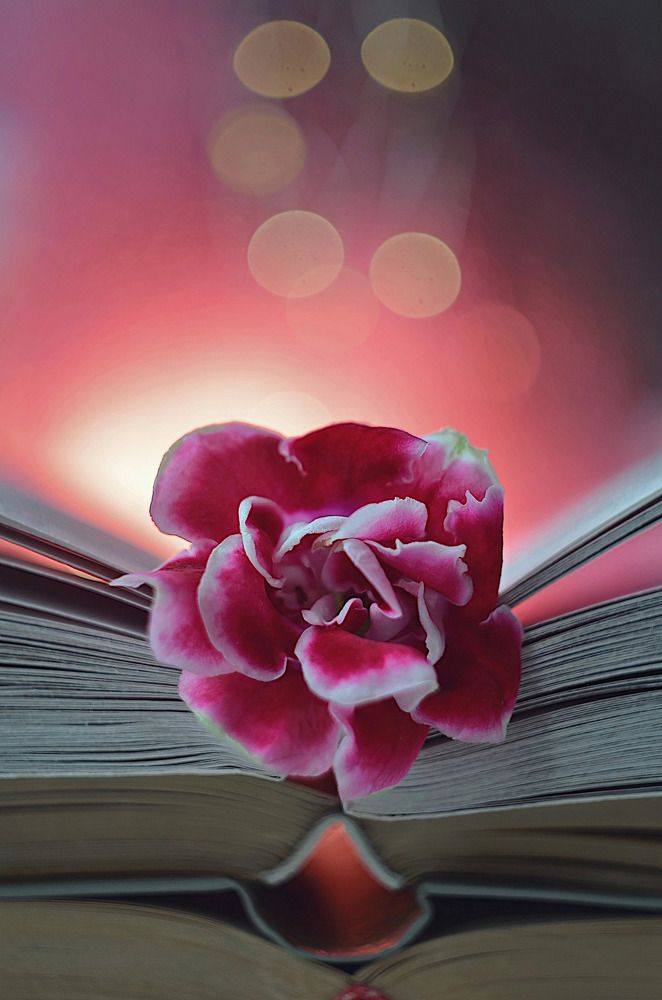 Photograph by Анастасия Чушкова