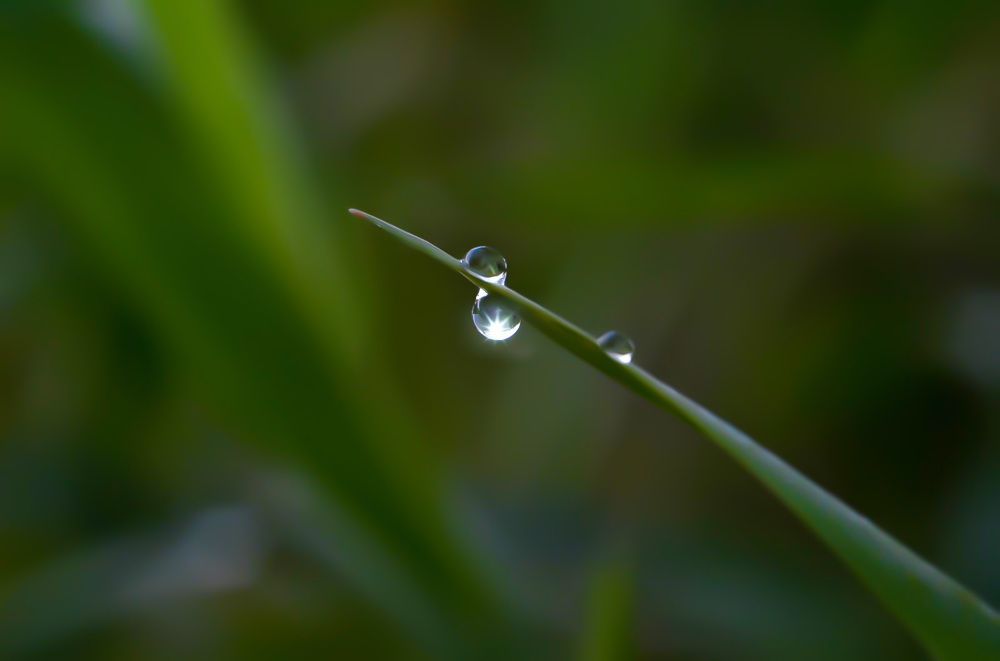 Photograph by Анастасия Чушкова