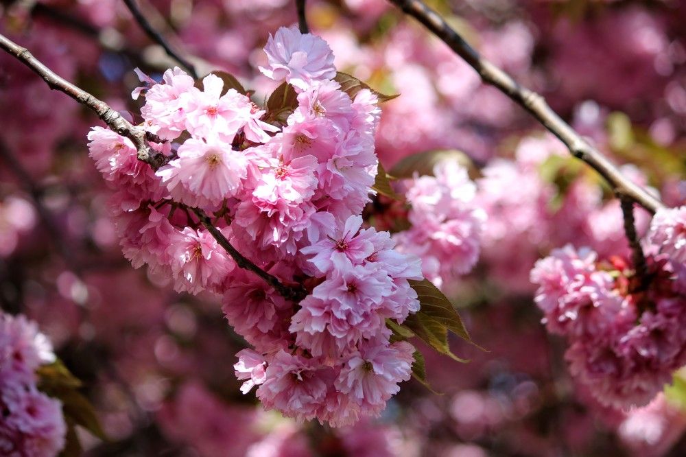 Photograph by volkan akan