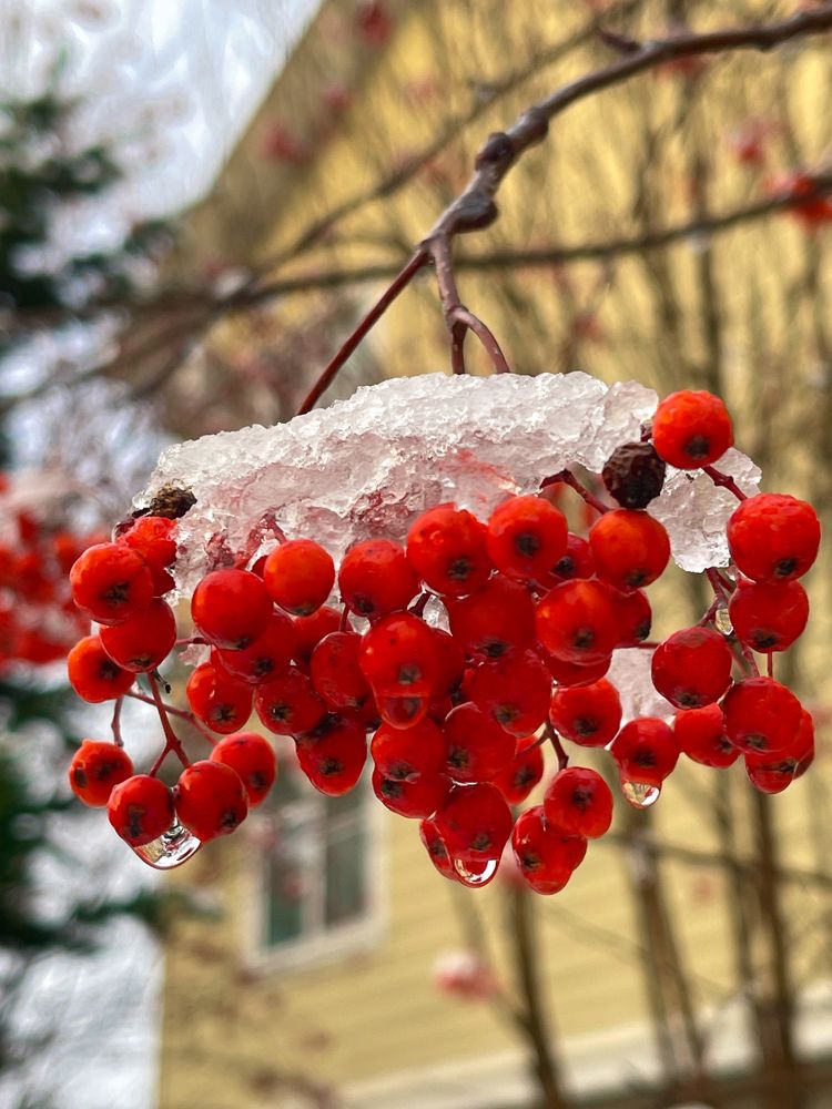 Фотография автора Елена