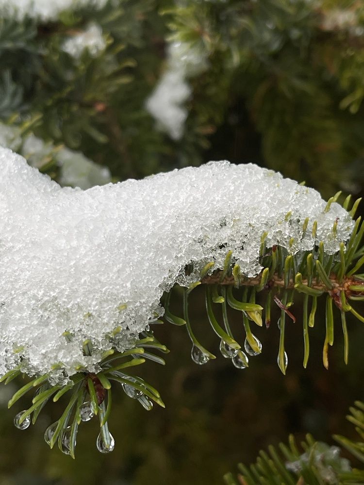 Фотография автора Елена