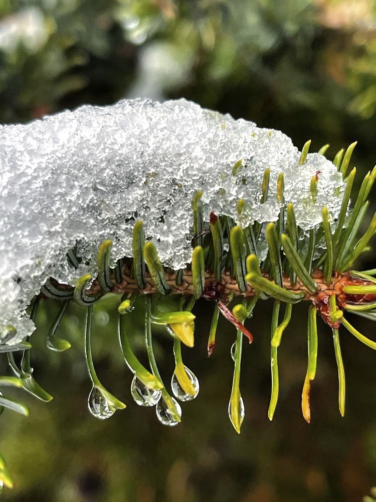 Фотография автора Елена