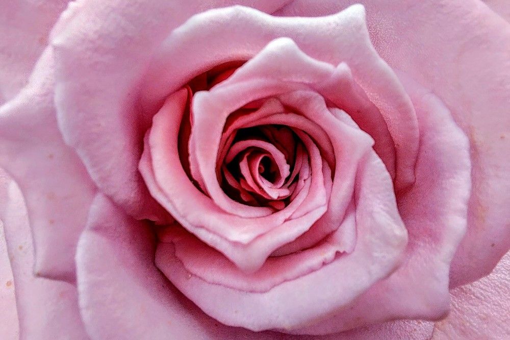 Photograph by volkan akan