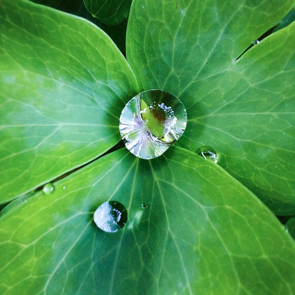 Photograph by Ирина Мекш