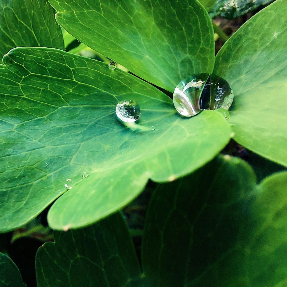 Photograph by Ирина Мекш