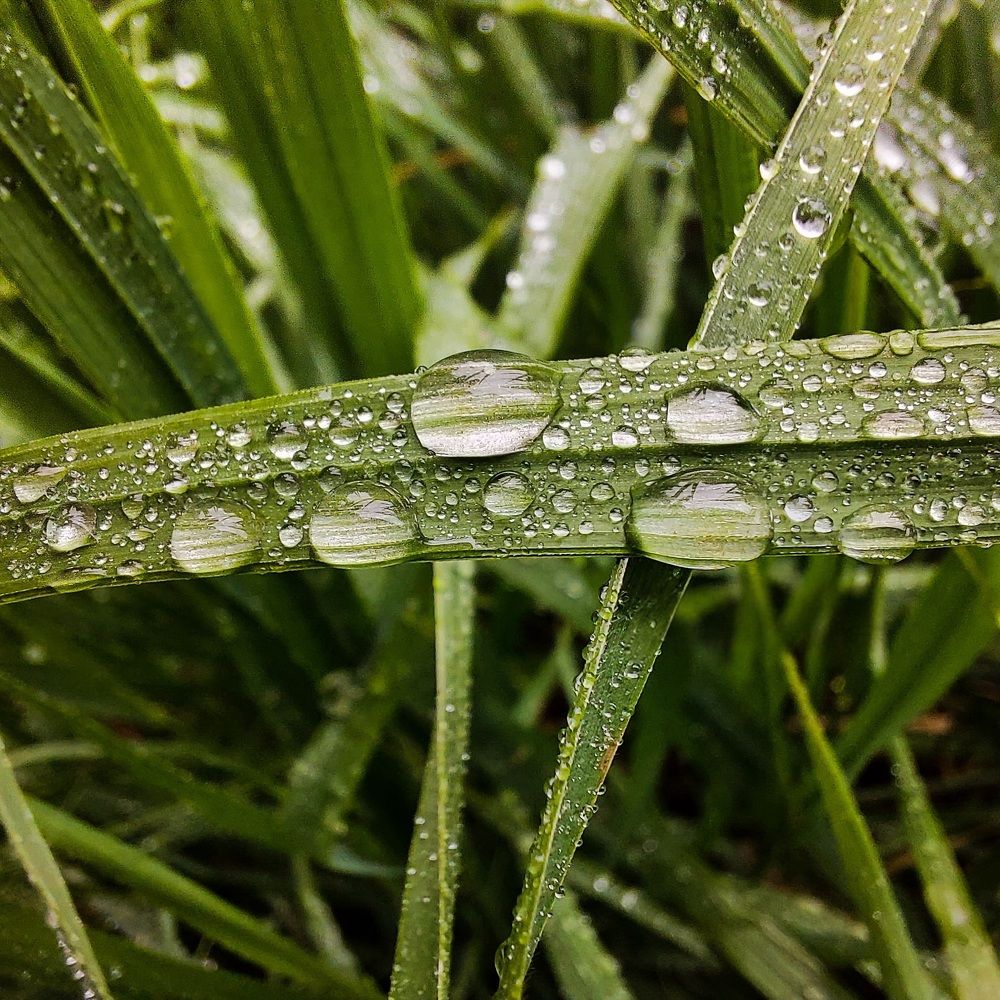 Photograph by Ирина Мекш