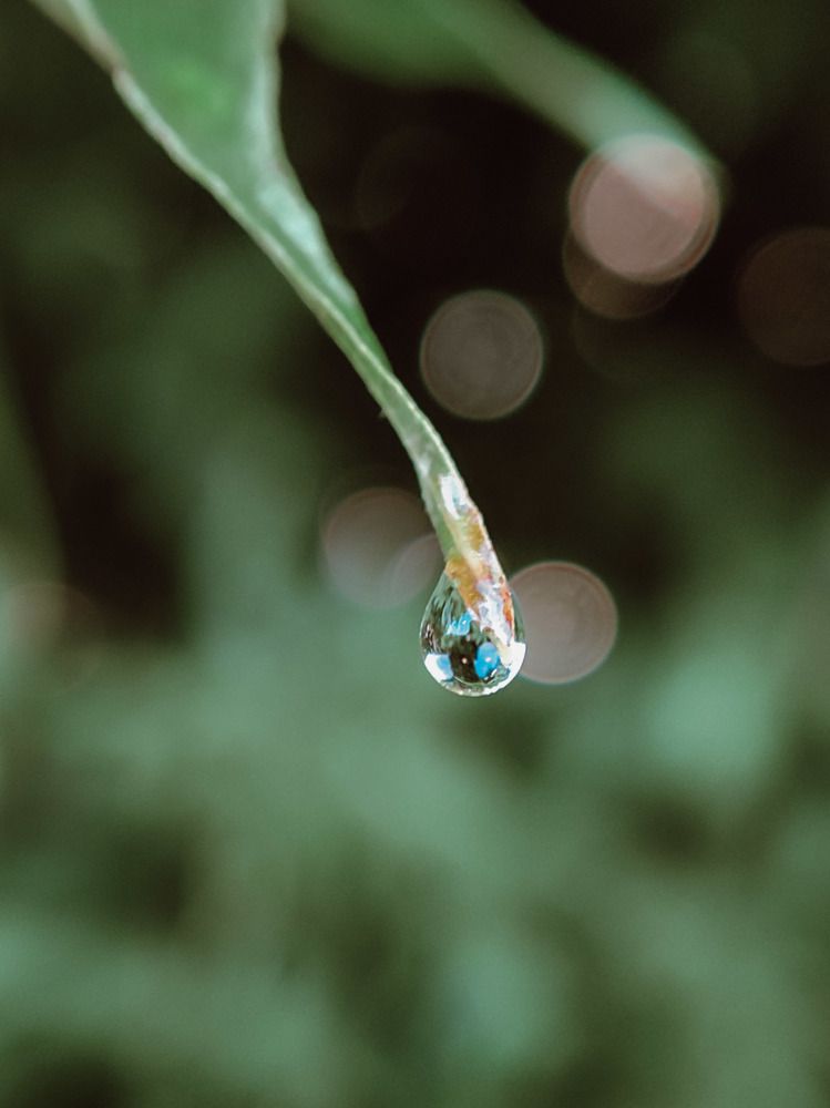 Photograph by Алия Латыйпова