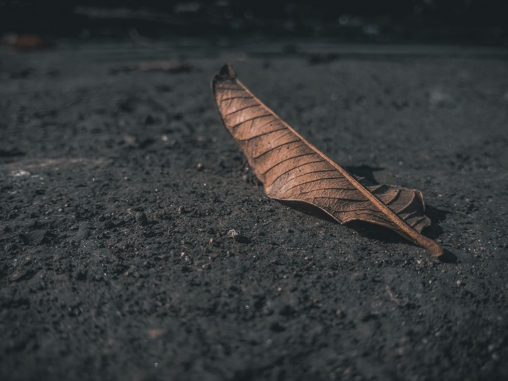 Photograph by Ma Leonor B Gonzales