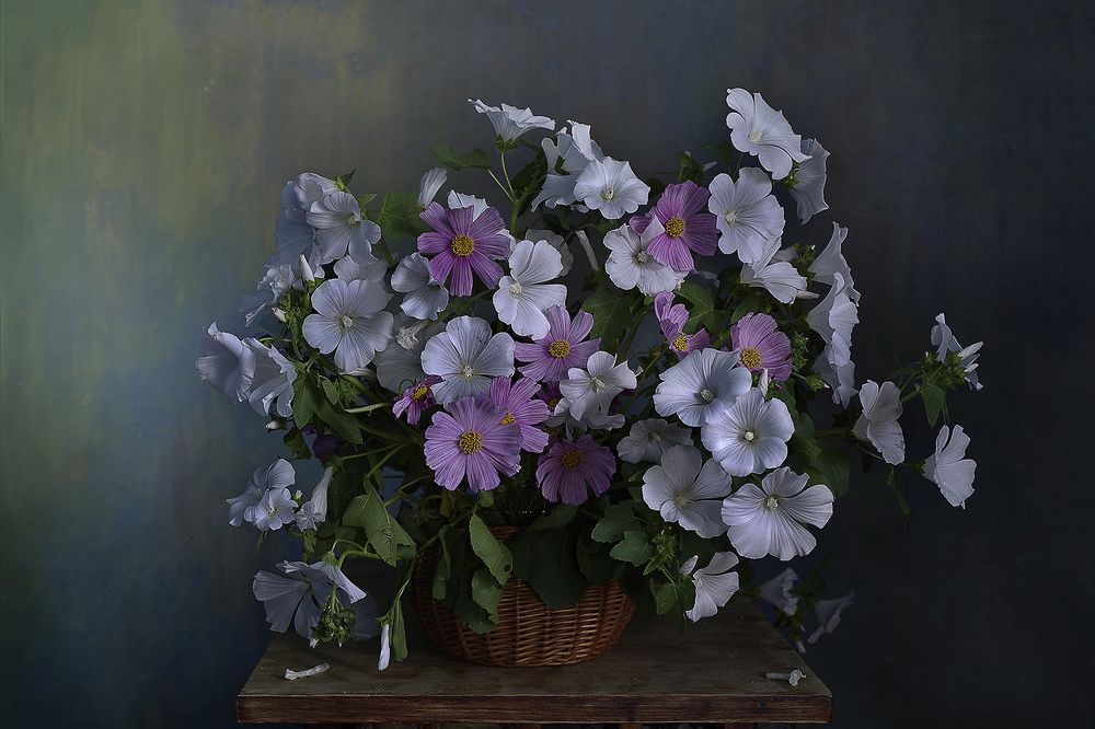 Photograph by Вера  Павлухина