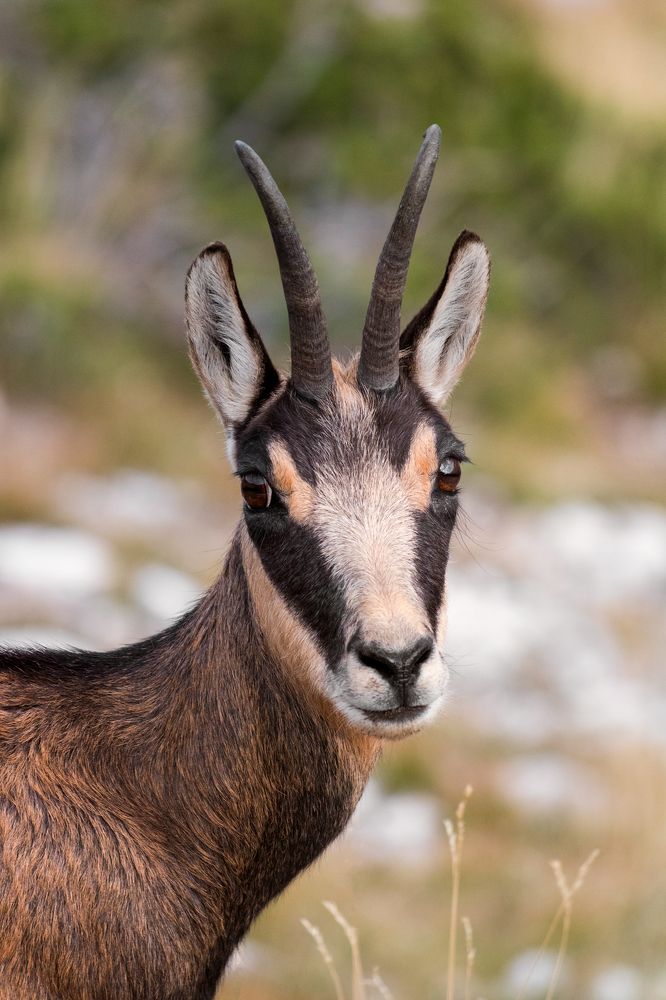 Photograph by Vania Tonova