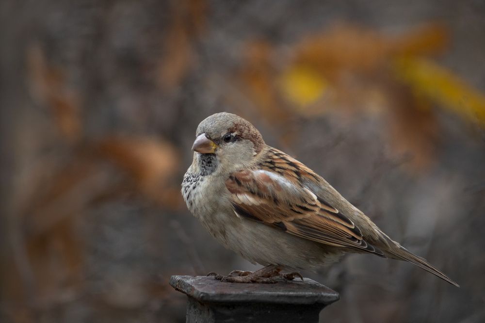 Photograph by Vania Tonova