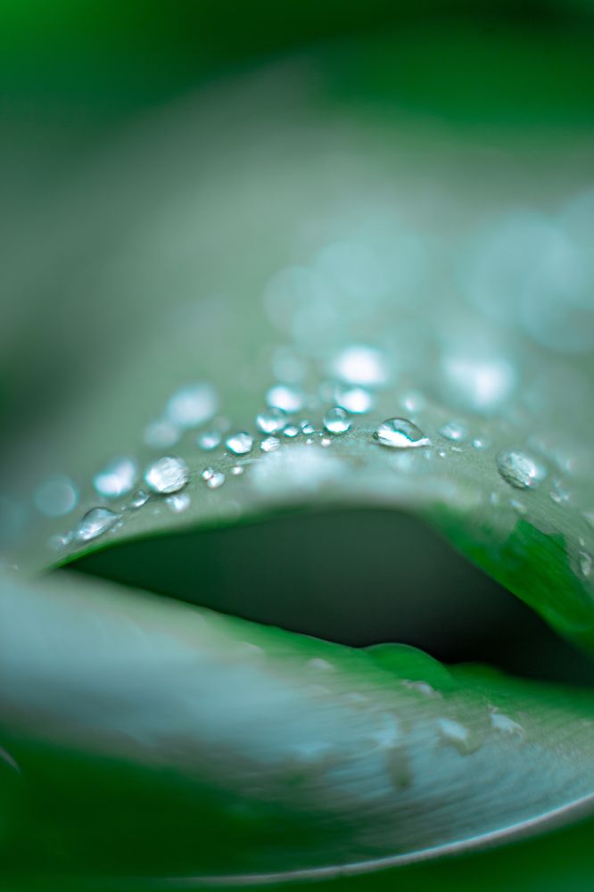 Photograph by Анопченко Ирина