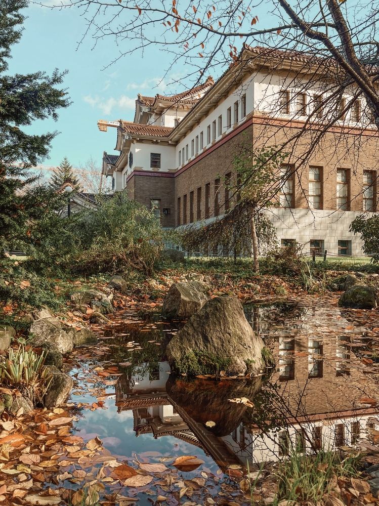 Фотография автора Елена