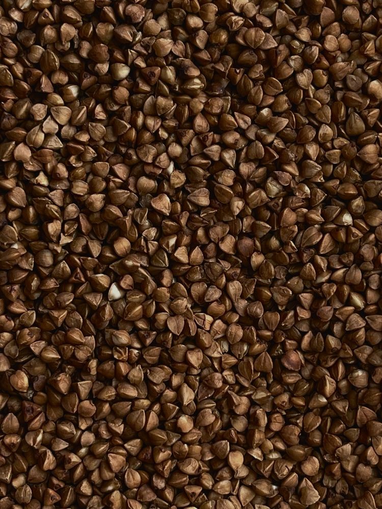 Фотография автора Елена