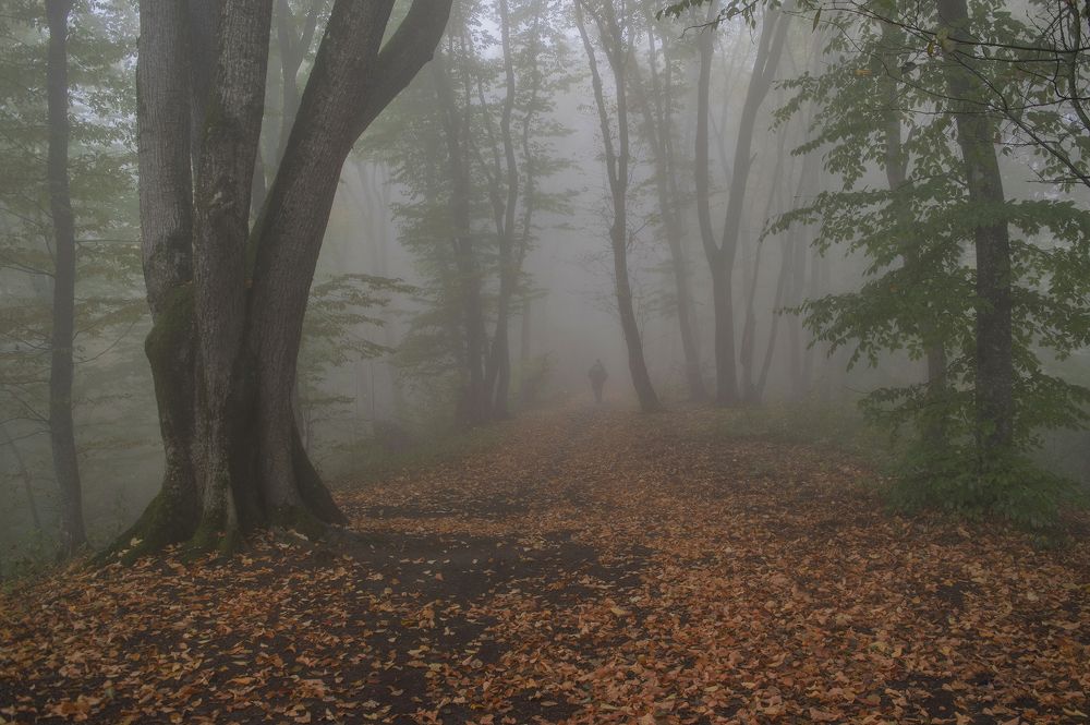 Photograph by Шипунова Ирина