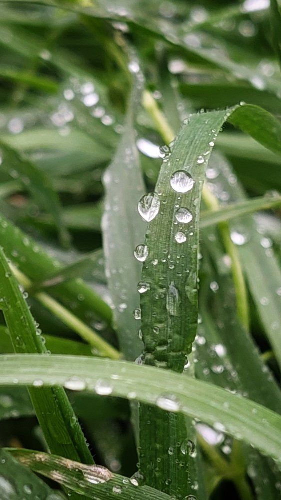 Photograph by Svitlana Usatenko