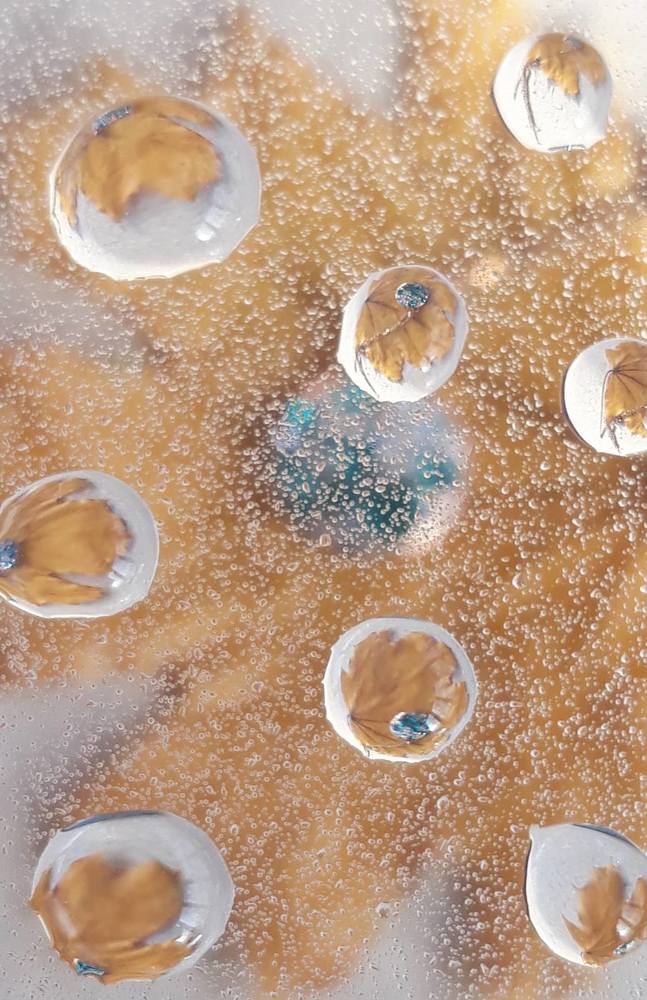 Photograph by Svitlana Usatenko