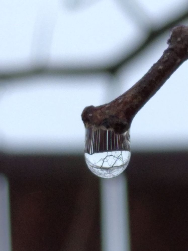 Photograph by Елена Коробченко