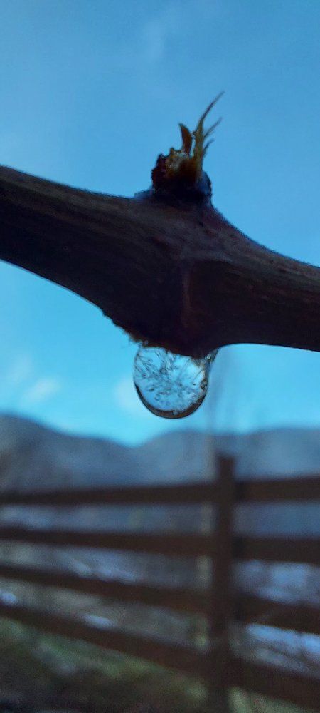 Photograph by Svitlana Usatenko