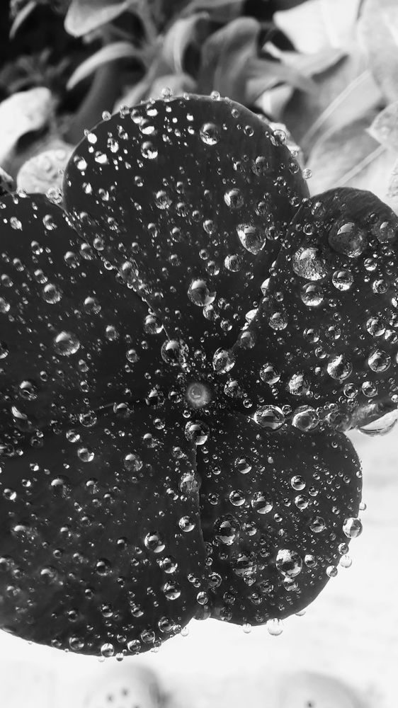 Photograph by Khushi Vashisth