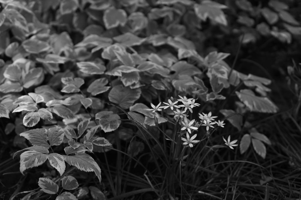 Фотография автора Валентина Комлева