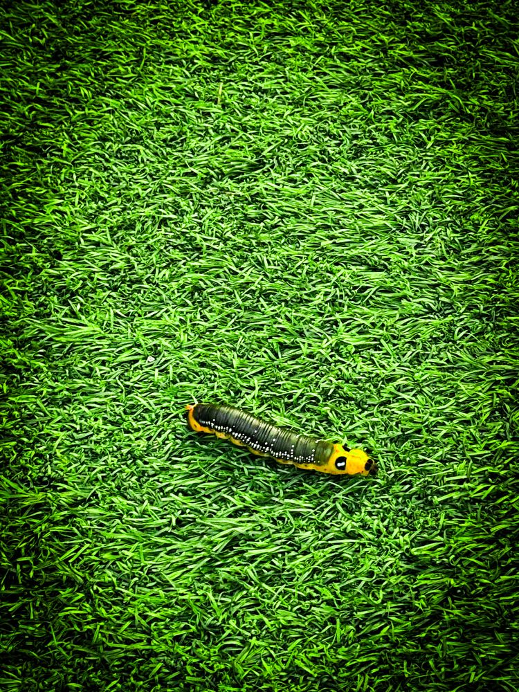 Photograph by Marharita