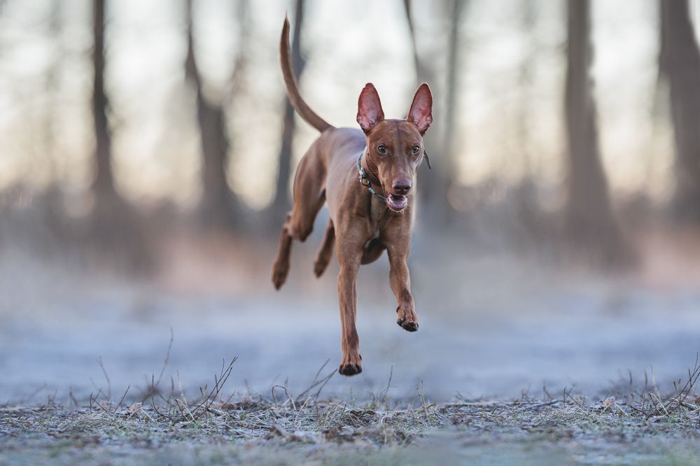 Photograph by Шитиков Владимир
