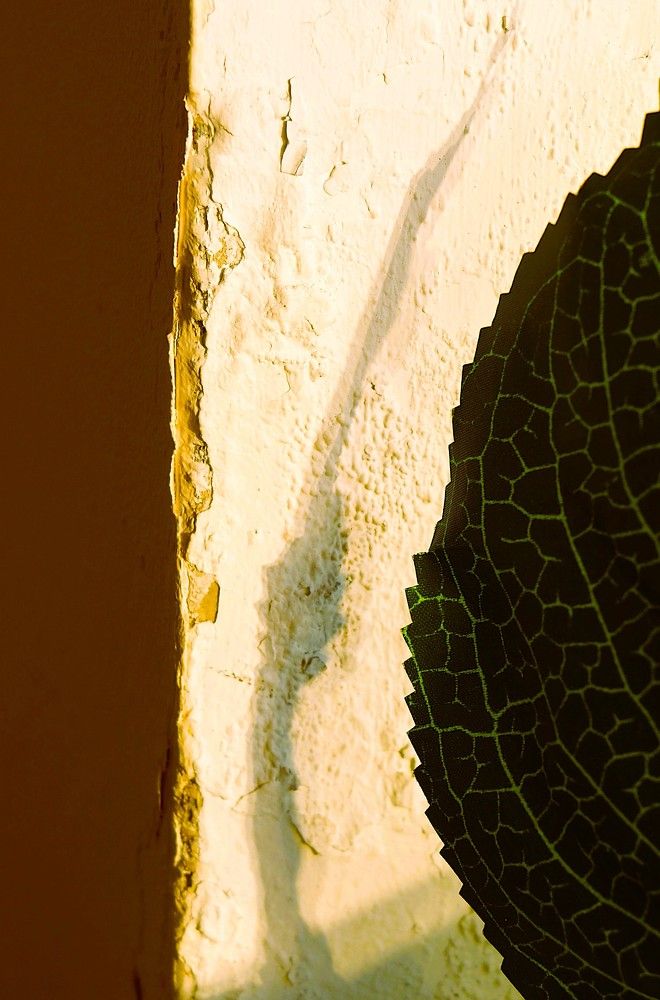 Photograph by Наталья Чумак