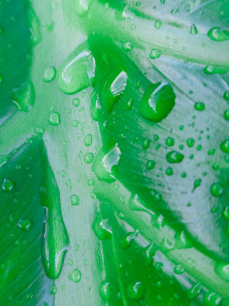 Photograph by Marharita