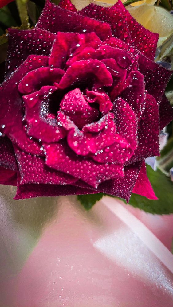 Photograph by Marharita