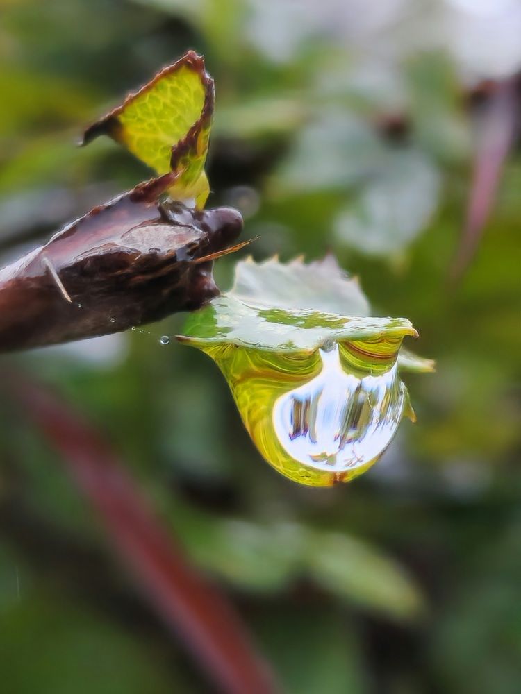 Фотография автора Ольга Быстрова