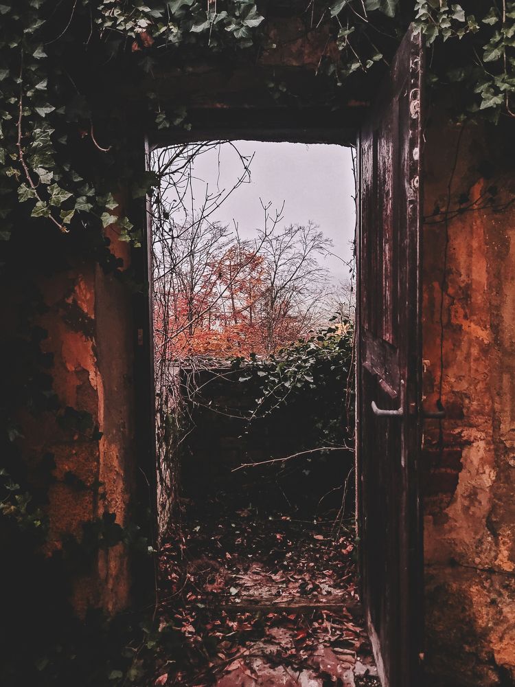 Photograph by Tatiana Aleksandrova