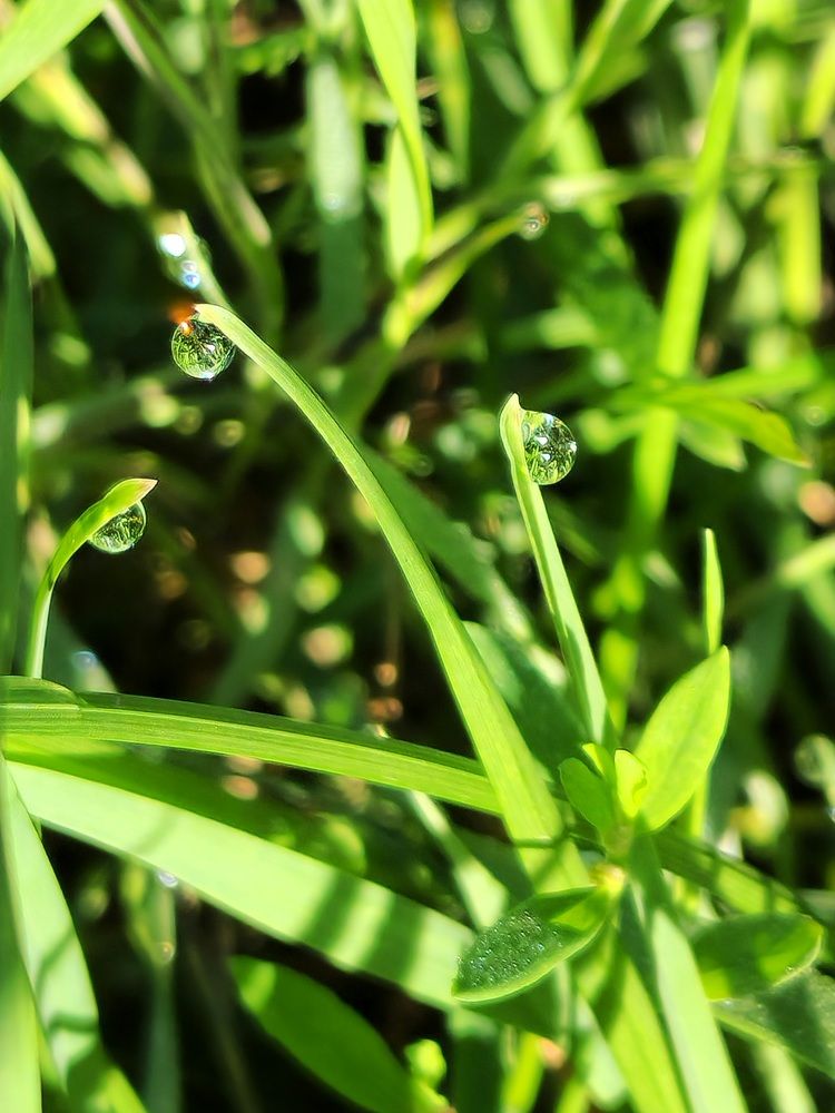Фотография автора Ольга Быстрова