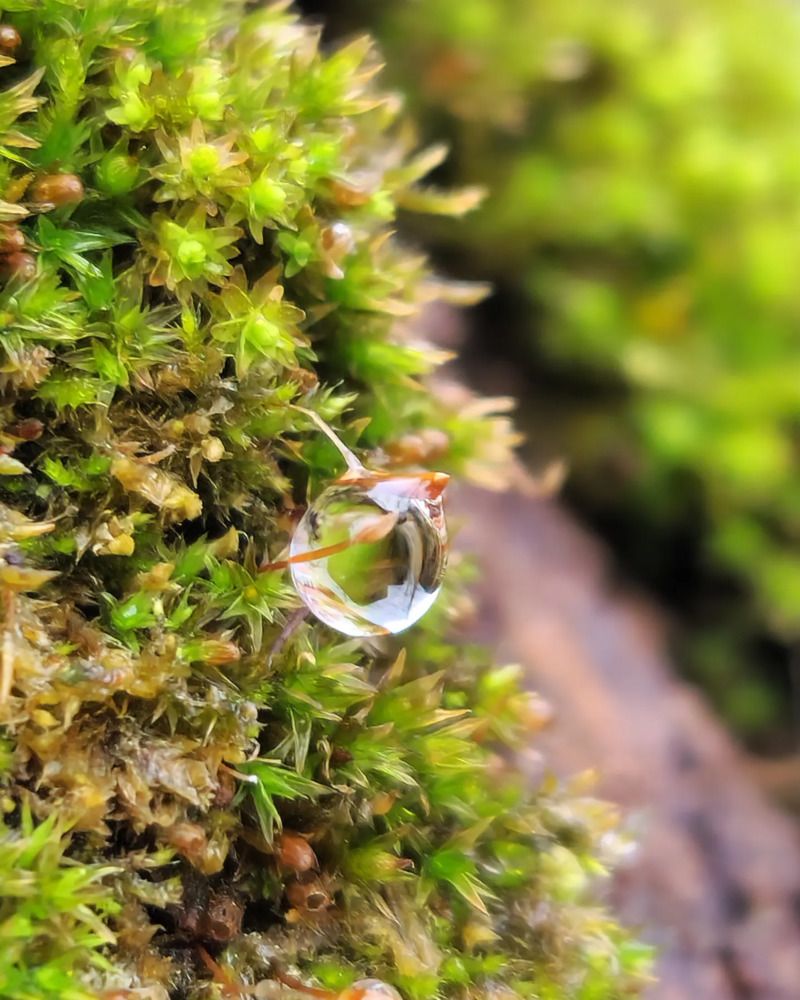 Фотография автора Ольга Быстрова