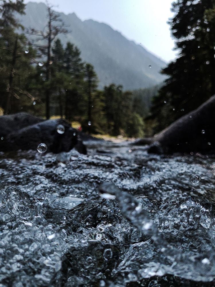 Photograph by Tatiana Aleksandrova