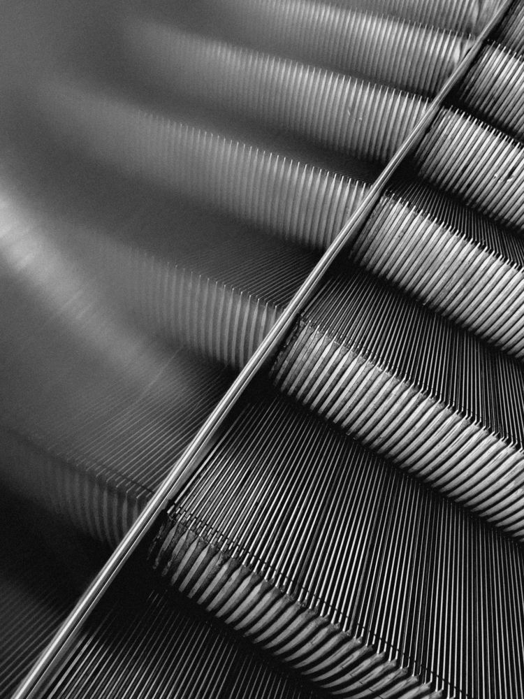 Photograph by Tatiana Aleksandrova