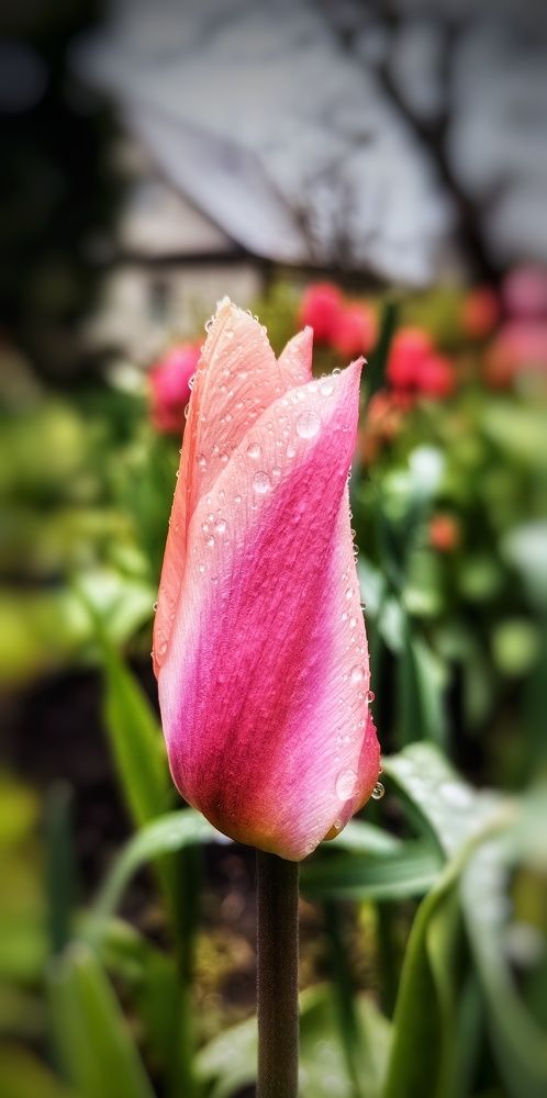 Photograph by Наталия Мельникова