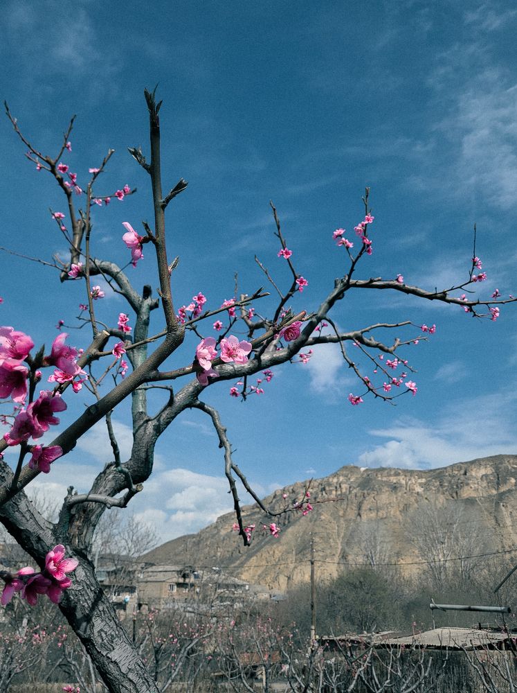 Photograph by Tatiana Aleksandrova