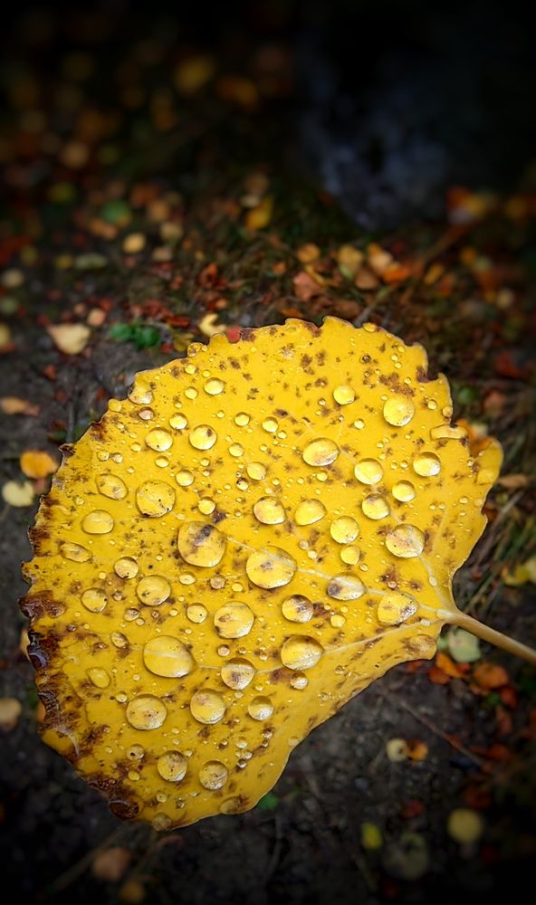 Photograph by Наталия Мельникова